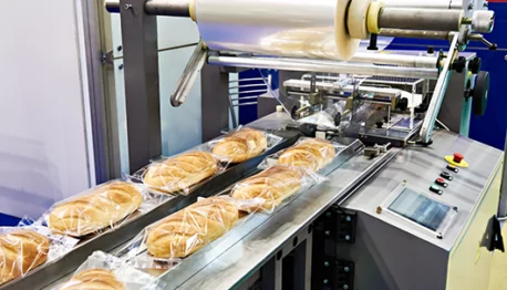 brc packaging materials version 6 : exigences et mise en place du référentiel