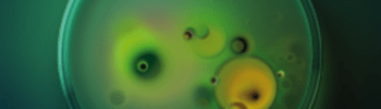 microbiologie prévisionnelle,produit alimentaire,HACCP,formation microbiologie,formation agroalimentaire
