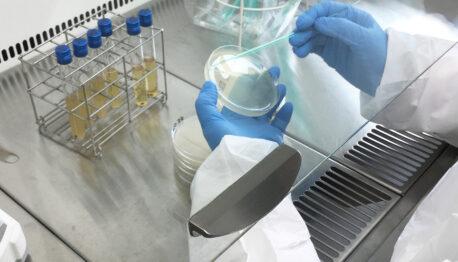 rendez vous des managers du laboratoire de microbiologie