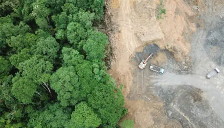 La lutte contre la déforestation : comprendre et appliquer le règlement européen RA024